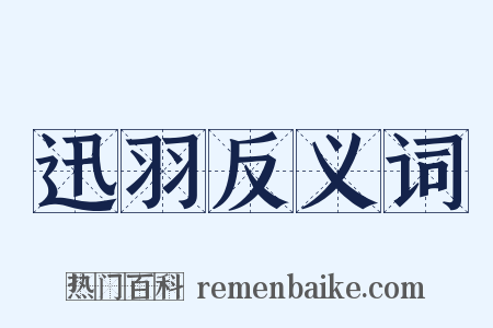 迅羽反义词是什么意思的图片